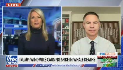 Martha MacCallum and Michael Shellenberger with chyron "Trump: Windmills causing spike in whale deaths"