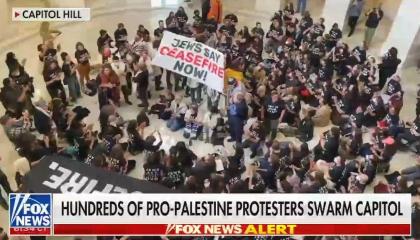 Jewish Voice for Peace Protestors