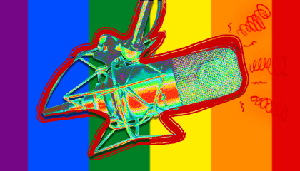 A microphone on top of the pride flag